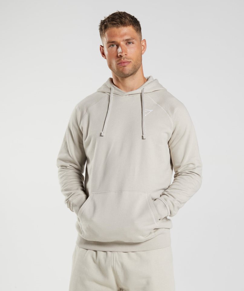 Men\'s Gymshark Crest Hoodie Light Grey | CA 7DAN16